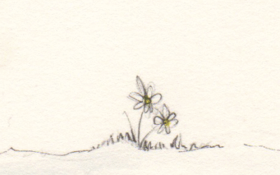 WSA – People’s Choice Award